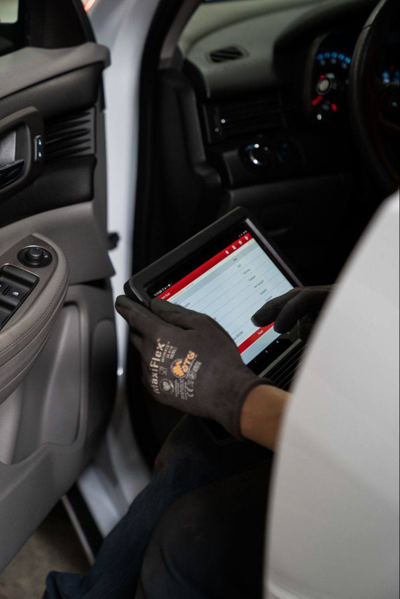 photo_2026-01-15_14-21-03